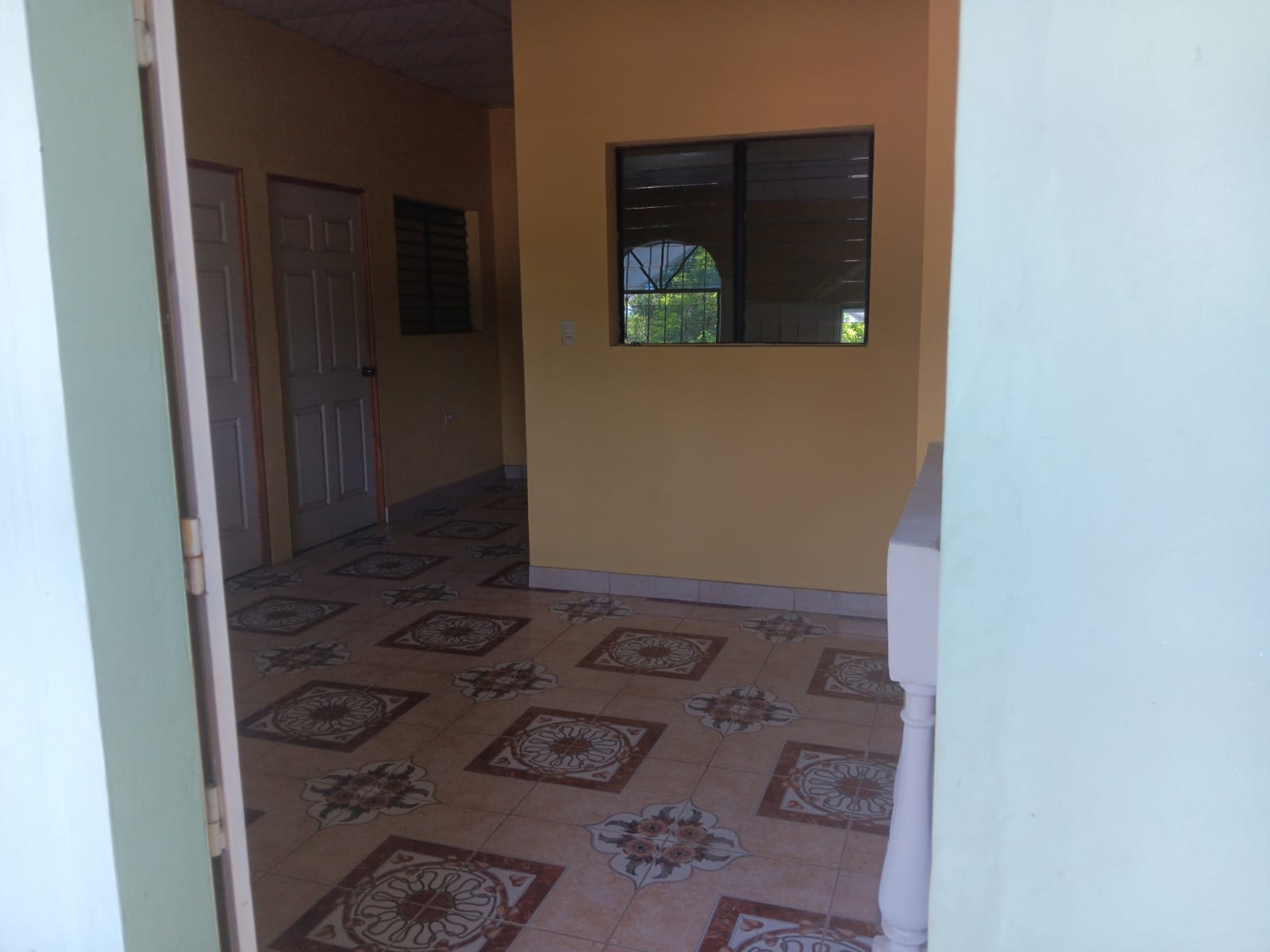 Los naranjos 4