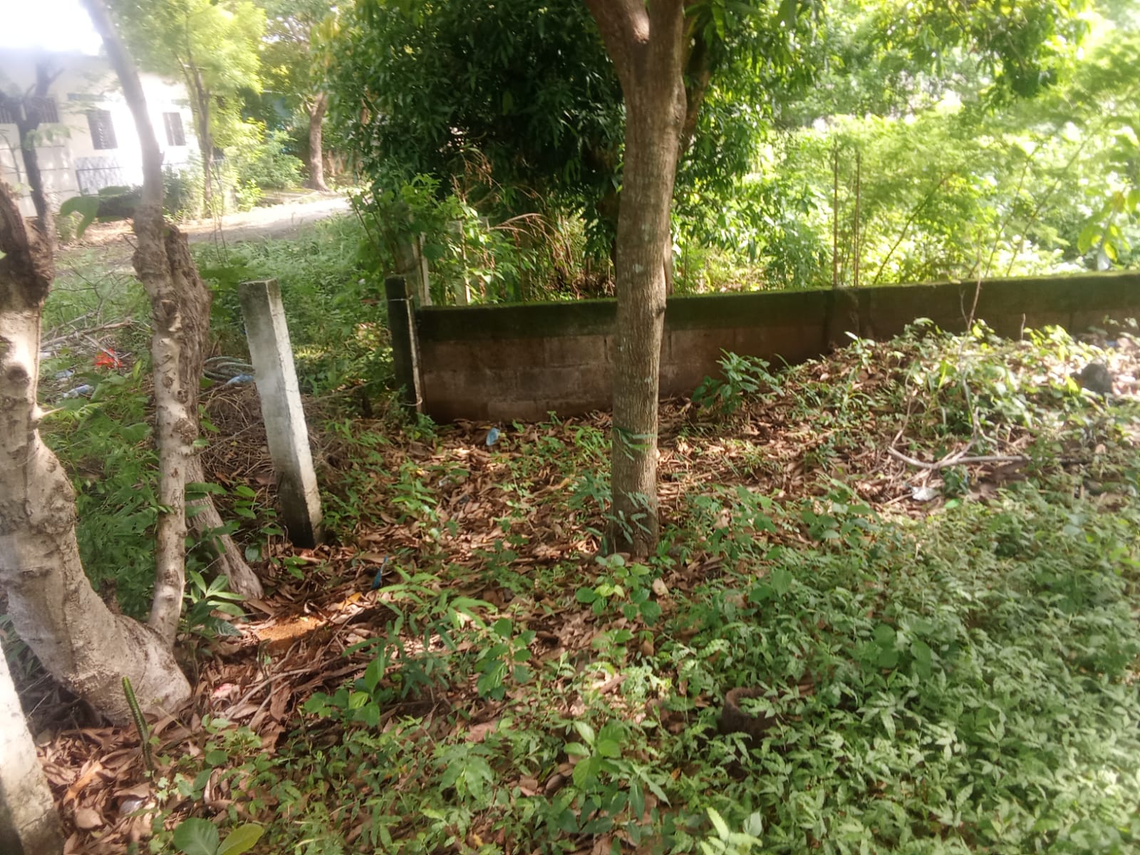 WhatsApp Image 2026-10-06 at 5.11.40 PM (1)